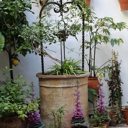Pensión Casa Longa Córdoba
