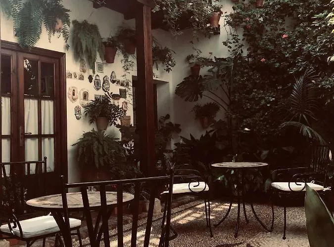 Casa Longa 科爾多瓦